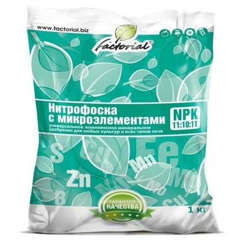 ���� ���������� � ��������������� 1�� ���������, ������ �� 221 ���