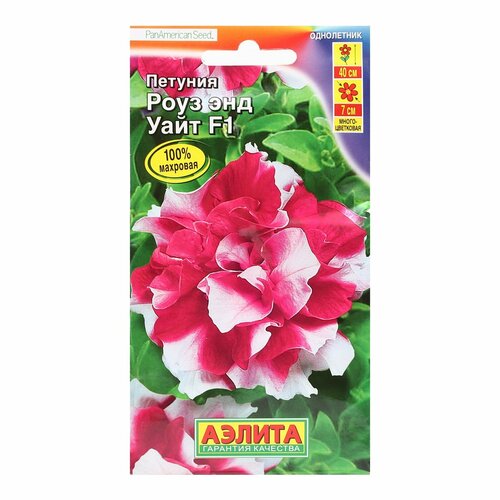 ���� ������ ������� 