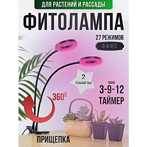 ���� ��������� ��������� ��� �������� � �������, ���������������� ����� �� �������� ��� �������� ����, ����, 2 �����, ������ �� 1431 ���