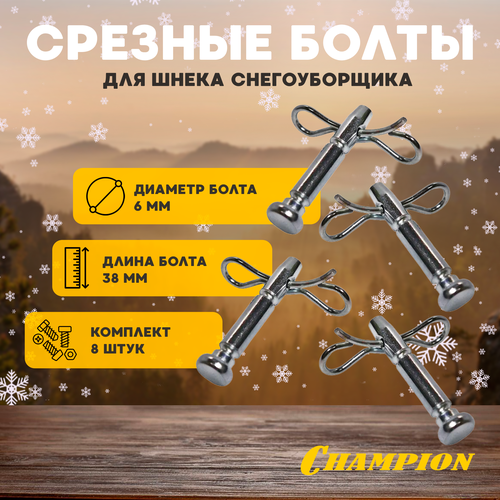 ���� �������� ������� ������ ��� ����� ������������� CHAMPION �� ��������, ������� 6 ��, ����� 38 ��, 8 ��., ������ �� 999 ���