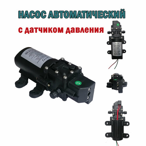 ���� ����� ������������� ��������������, 12 �, 2,6 �./���. (��� ���������, ��� �������������), ������ �� 904 ���