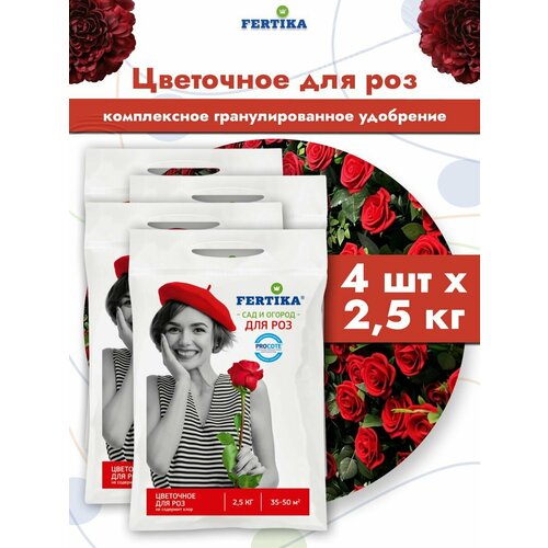 ���� ��������� ������� ��������� ��� ��� �����-����-����� ����������� ���������������, 4 �� �� 2,5 ��, ������ �� 3365 ���