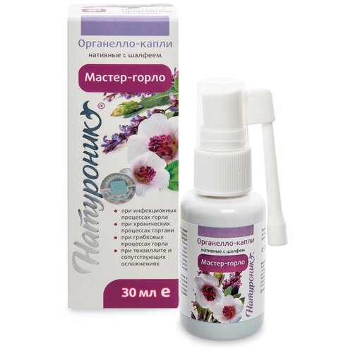 ���� ��������� ����� �������-�����, 30 ��, ������ �� 386 ���