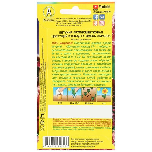 ���� ������ ������� 