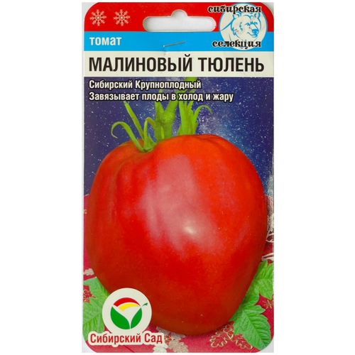 ���� ������ ����� ��������� ������, 20 �����, ������ �� 55 ���