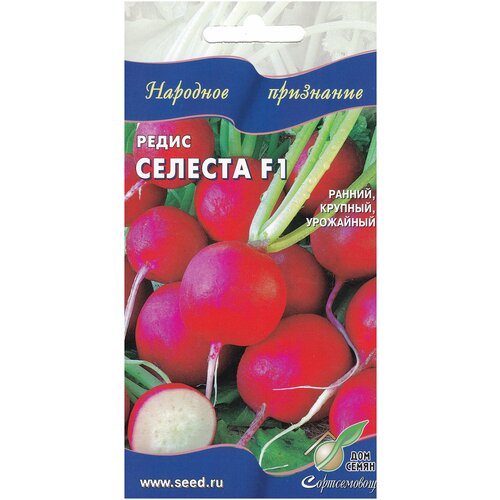 ���� ����� ������� F1, 60 �����, ������ �� 95 ���