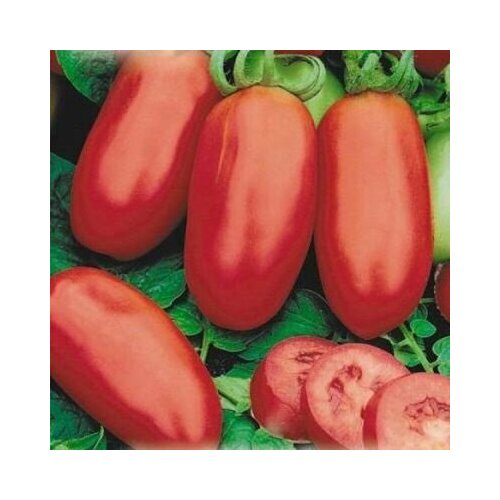 ���� ������ ����� ������ 20�� ��� ������ (����time), ������ �� 46 ���