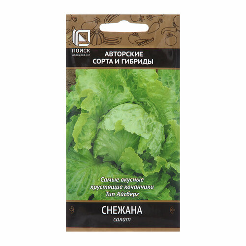 ���� ������ ����� ������� �������� 1� (�����) �����, ������ �� 43 ���