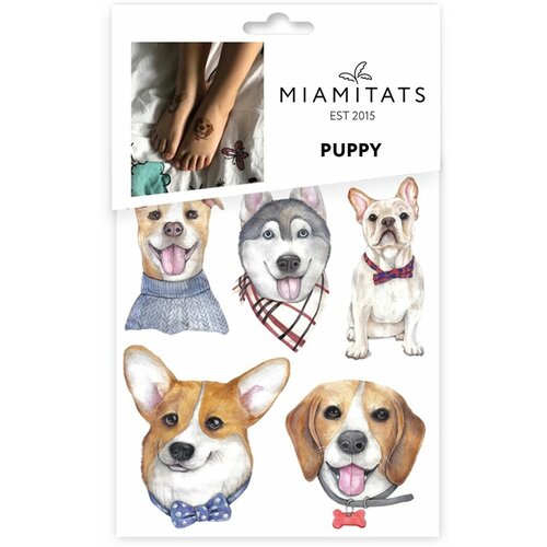  MIAMITATS    Flight, 5 , 1 ,    -     , -, 