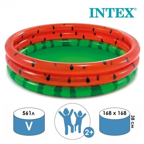  INTEX   , 168  38 ,  2 , 58448NP INTEX   -     , -, 