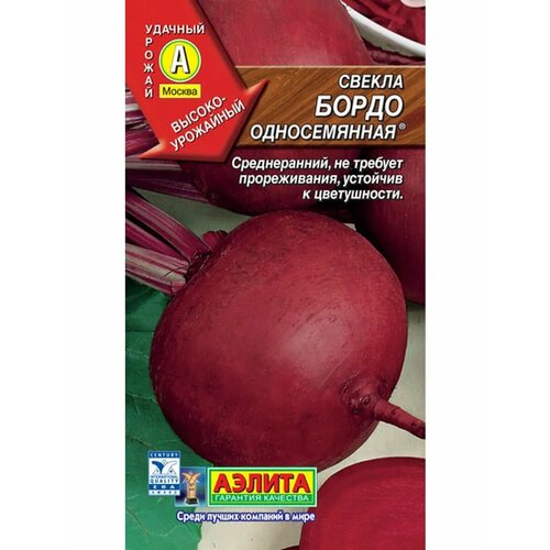 ���� ������ �������� 