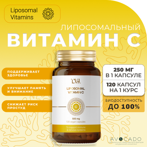  Liposomal Vitamins    - 500  / Liposomal Vitamin C, 120    -     , -, 