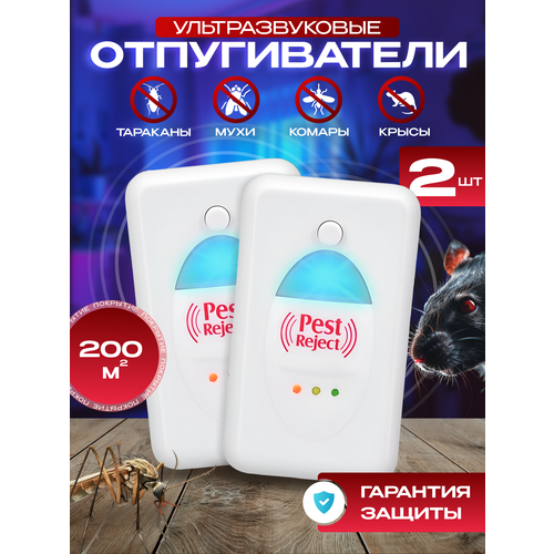 ���� ������������ ����� ��������������, ������ �� 799 ���