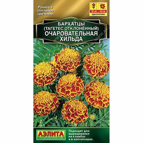 ���� ������ �������� �������������� ������ ����������, (������) 0,3� ������� �����, ������ �� 52 ���