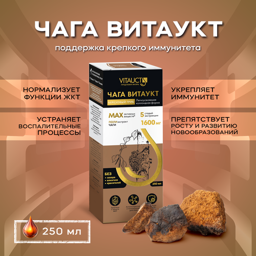 ���� ���� ������� / �������� ����, ������ �� 1776 ���