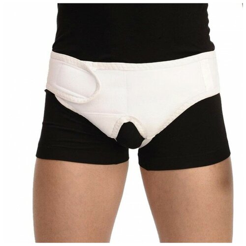 ���� ������ ������ ��������������� ������� �-1443, ������ XL, �������, ������ �� 1330 ���