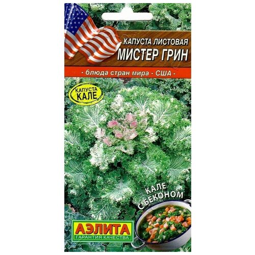 ���� ������. ������� �������� 