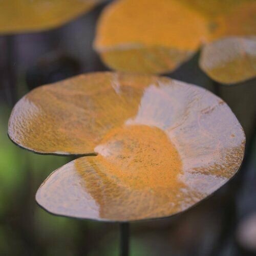 ���� ����� ��� ������ ��� �������� �����, ������ �� 1530 ���