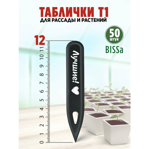       , Bissa 1, , 50 ,   380 