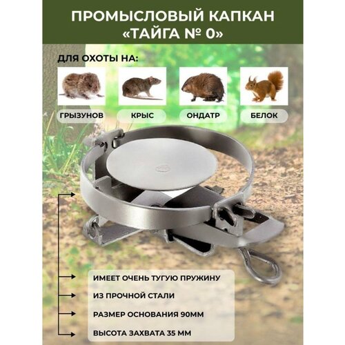 ���� ������ ������������� ����� ���������� �������� �� ��������, ������ �� 545 ���