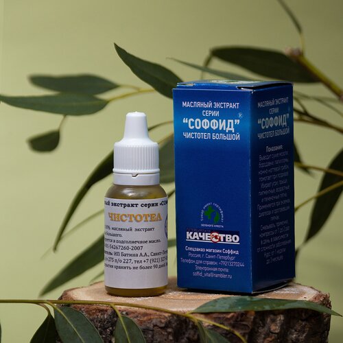 ���� �������� �� ������� ��������� �������� ������ ���������, �� �������� � ������. ������. 12��., ������ �� 281 ���