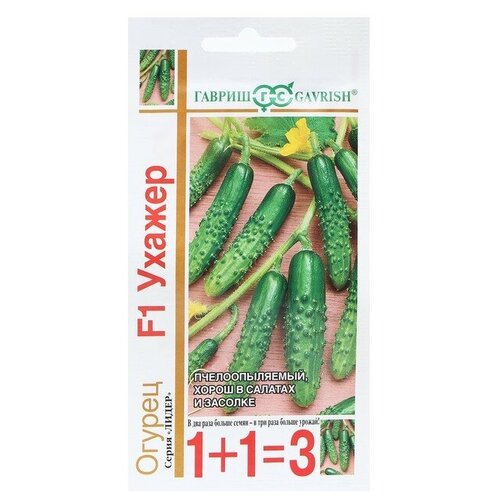 ���� ������. ������ �������������� 