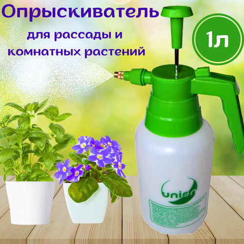 ���� ������������� �������� ������ 1 ����, ������ �� 250 ���