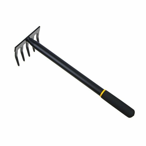 ���� ��������� ������� � �������������� ������ INBLOOM, 41�11.5��, ������ �� 520 ���