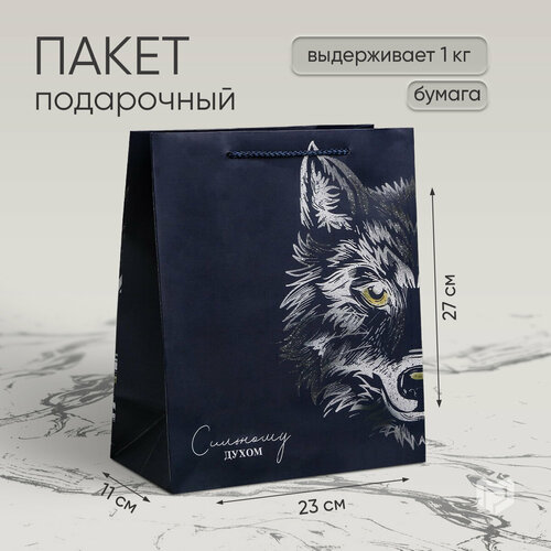 ���� ����� ���������� ��������� �����, 23 ? 27 ? 11,5 ��, ������ �� 174 ���