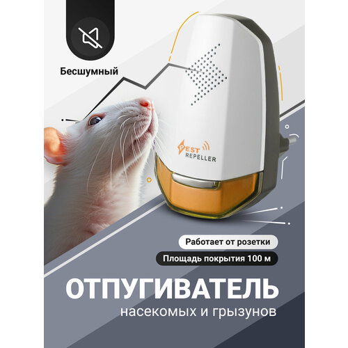 ���� ������������ ����� � ���������, �������������� ������������ �������� SSY, ������ �� 218 ���