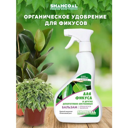 ���� ������� ��� ������ � �����������-���������� �������� �� ������ ���������� ������ ��������� ��� ��������� ��������, ������ �� 390 ���