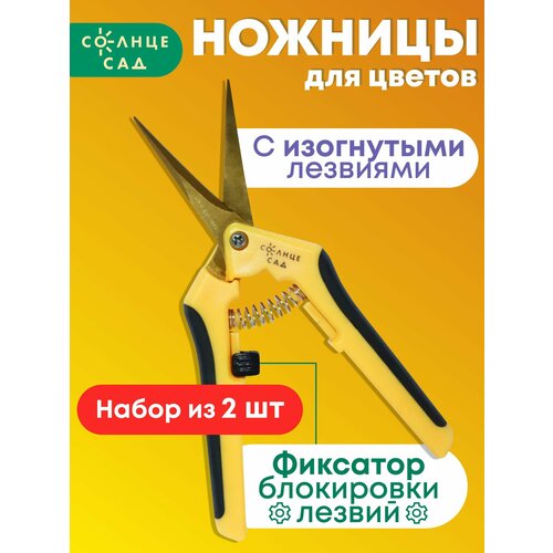 ���� ������� ��� ��� ������ � ���������� �������� ������ ��� ( ����� �� 2 �� ), ������ �� 711 ���