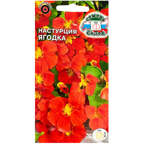 ���� ������ ��������� ����� ������ 1 �, ������ �� 44 ���