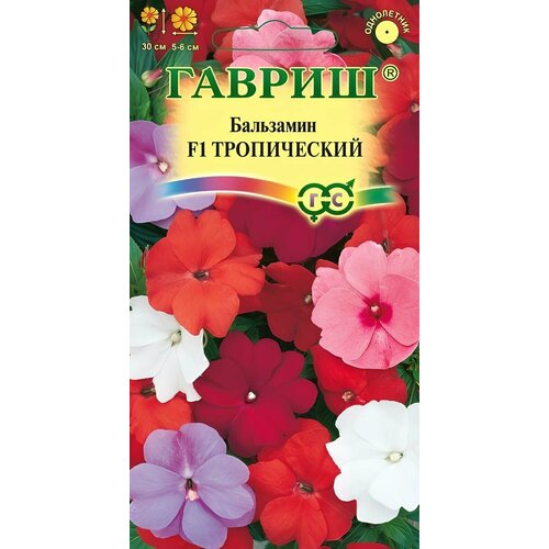 ���� ��������� ����������� F1 ����� �������� (4 ��.), ������ �� 86 ���