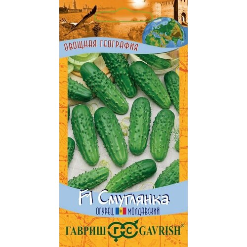 ���� ������ ������ ��������� F1, 10��, ������, ������� ���������, 10 ��������, ������ �� 551 ���