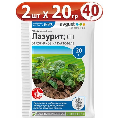 ���� 40�� ������� 20� � 2�� �������� �� �������� �� ��������� ������ Avgust, ������ �� 550 ���