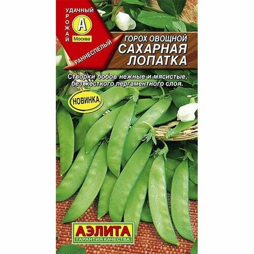 ���� ������. ����� �������� 