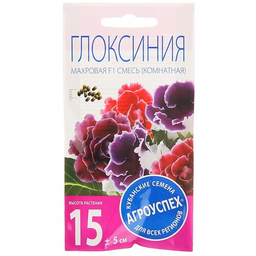 ���� ������ ��������� 