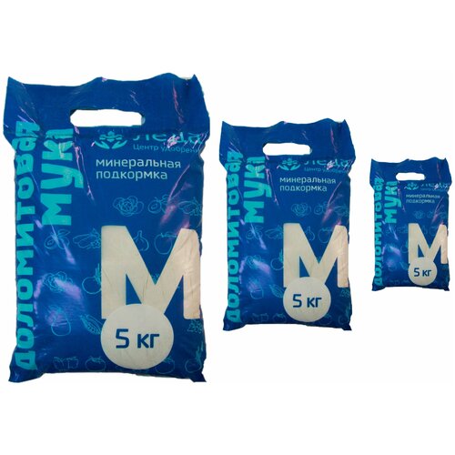 ���� ��������� - ������������ 