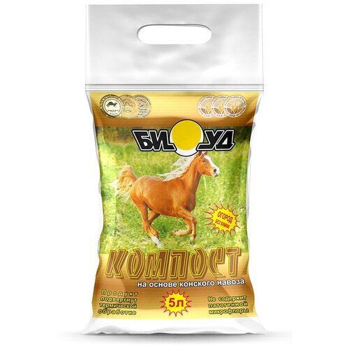 ���� ������� ���� �������, 5�, ������ �� 559 ���