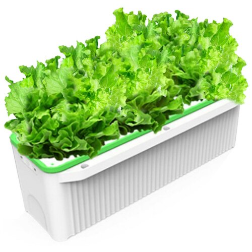 ���� ����������� ��������� HobbyFarm DQ61005, �������� ����� ����� ���, 5 �����, ������ �� 5792 ���