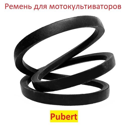      PUBERT 0306030024   -     , -, 