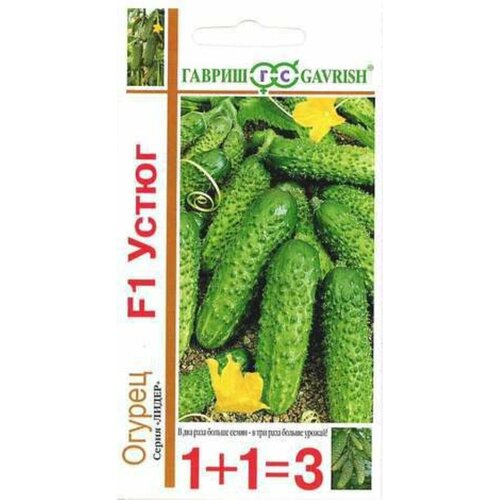 ���� ������ ������ ����� F1 20�� ������������������ ������ (������) 1+1, ������ �� 79 ���