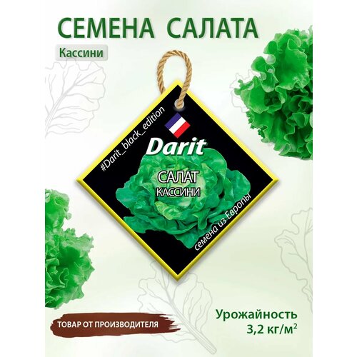 ���� ������ ������ ��������� ������� Darit Black Edition 3 �, ������ �� 262 ���