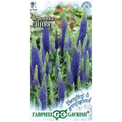 ���� ������, �������� ����� (�������������), ����� �������� � ���������� 0,02 ������, ������ �� 47 ���