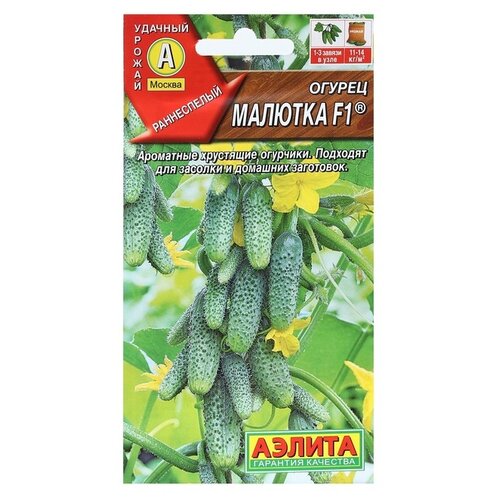 ���� ������ ��������� ������ ������ �������, F1, 10 ��, ������ �� 49 ���