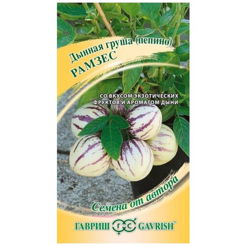 ���� ������ ������ ������ �� ������ ������ ������ 5 ��., ������ �� 454 ���