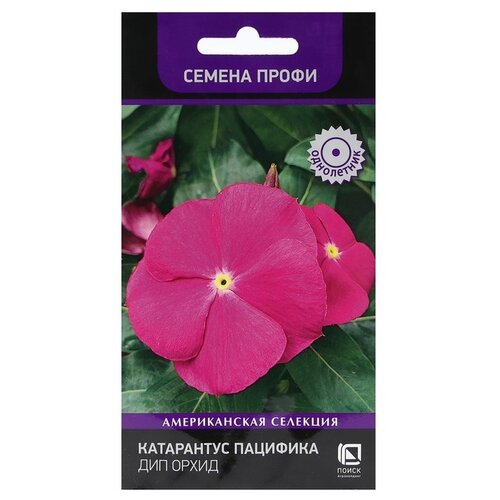 ���� ������ ����� ���������� ��������  ��� �����, 10 ��, 2 ��., ������ �� 499 ���