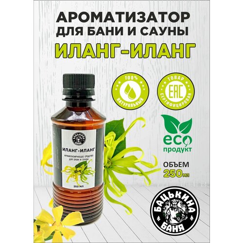   - 250        .   .,   900 