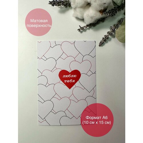 ���� �������� 